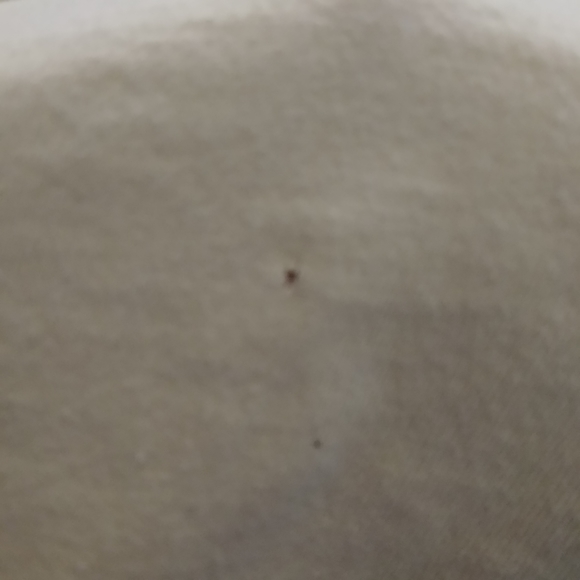 Quiksilver Slim Fit Yellow and Black Tee T11 - Picture 6 of 7